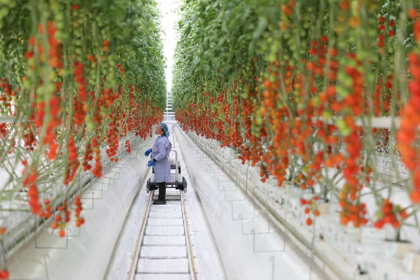 <strong>以实干践初心 以实绩惠民生——东台以“实”字当头书写高质量发展新答卷</strong>